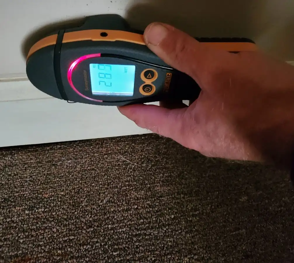 Moisture detection at baseboard during Sewage Cleanup & Sanitation in Arnold
